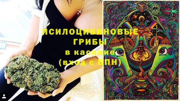 прущая мука Бронницы