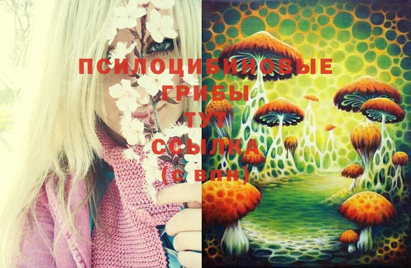 прущая мука Бронницы