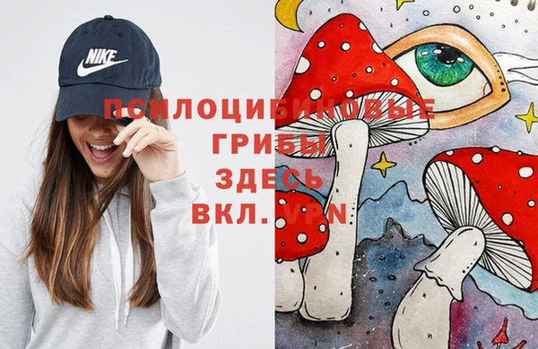 таблы Бородино