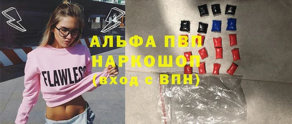 таблы Бородино