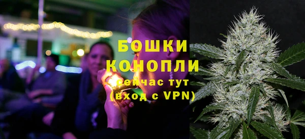 таблы Бородино