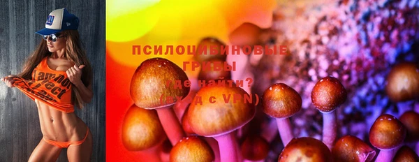 таблы Бородино