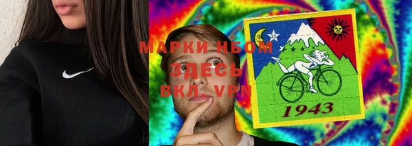 таблы Бородино