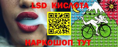 гашик Лесосибирск