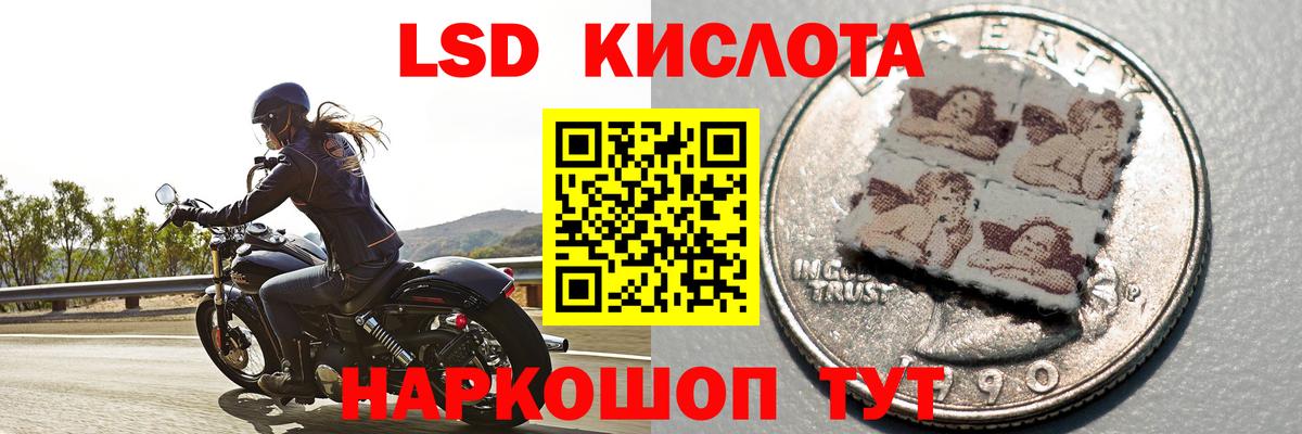 Лсд 25 экстази  ЛСД экстази ecstasy  ЛСД экстази ecstasy  Вход с VPN  Выборг 