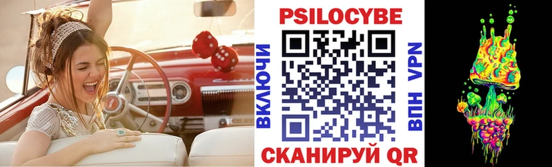 Псилоцибиновые грибы Cubensis Выборг