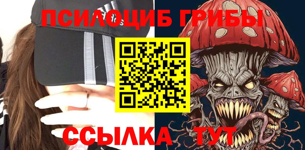 Выборг  Псилоцибиновые грибы мицелий  Вход с VPN 