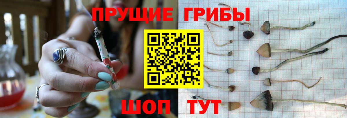 Псилоцибиновые грибы ЛСД Выборг