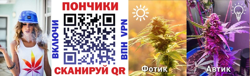 Марихуана LSD WEED  купить наркоту  Выборг 
