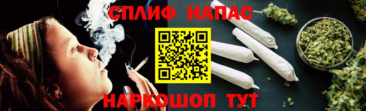 Конопля планчик Выборг